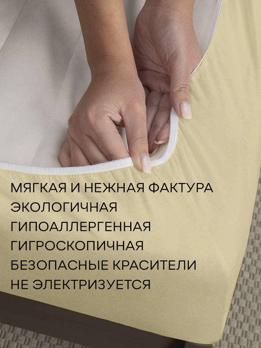 картинка Простыня Amore Mio DK QR Простыня 160*200*20 BE 