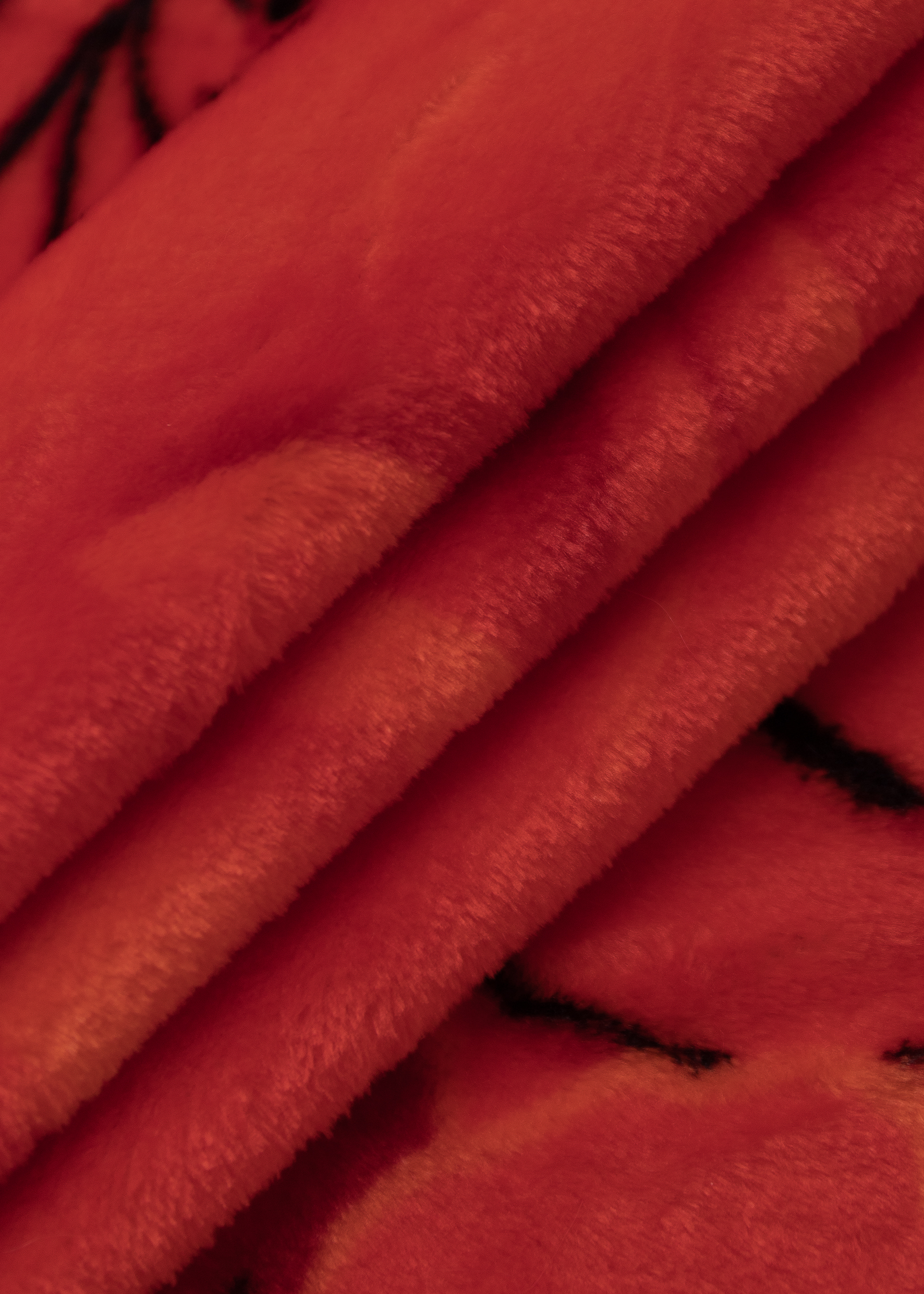 картинка Плед Texrepublic TF FN F57 a1520 Розы красные 